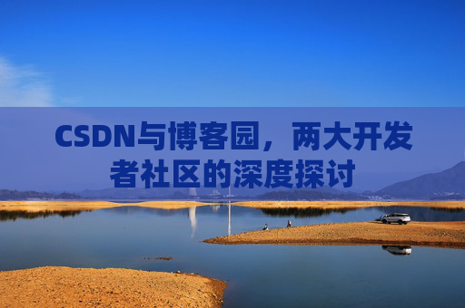 CSDN与博客园，两大开发者社区的深度探讨